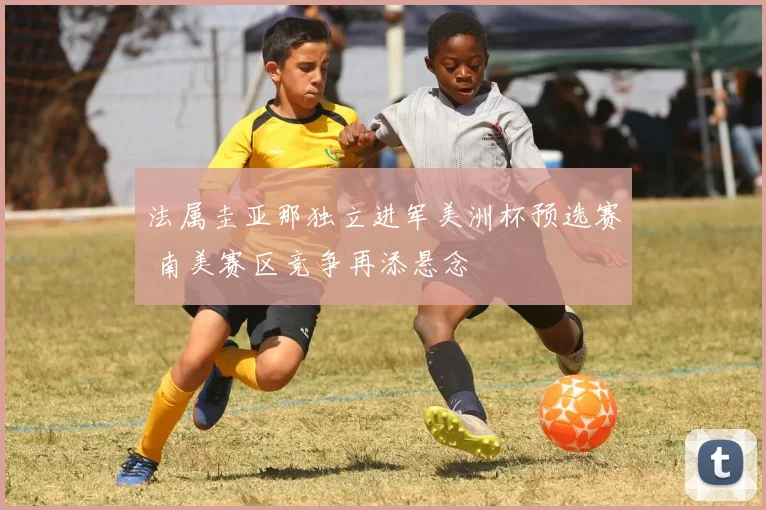 法属圭亚那独立进军美洲杯预选赛 南美赛区竞争再添悬念