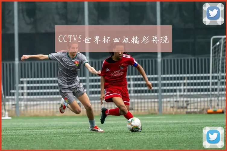 CCTV5世界杯回放精彩再现