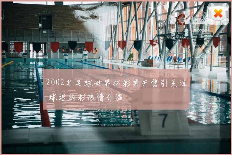 2002年足球世界杯彩票开售引关注 球迷购彩热情升温
