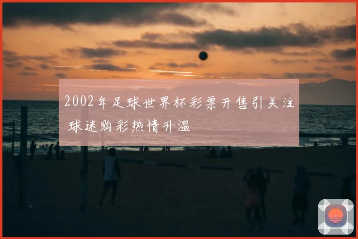 2002年足球世界杯彩票开售引关注 球迷购彩热情升温