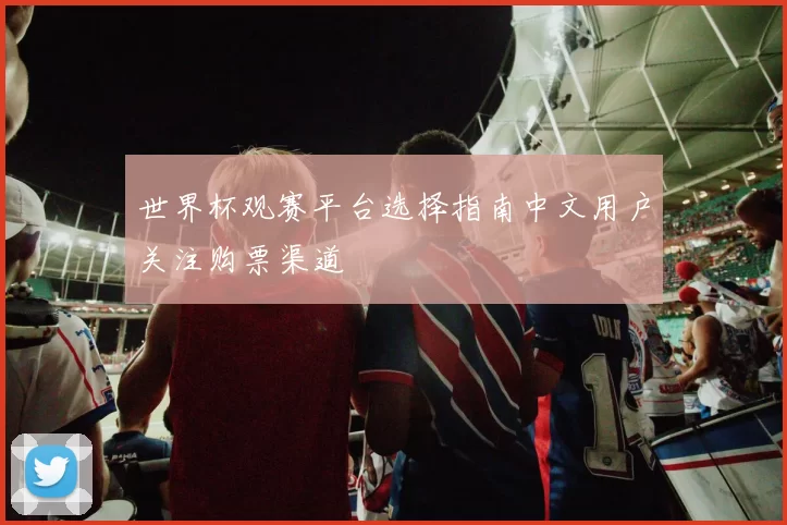 世界杯观赛平台选择指南中文用户关注购票渠道