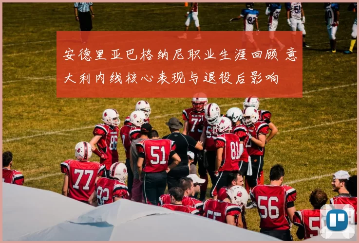 安德里亚巴格纳尼职业生涯回顾 意大利内线核心表现与退役后影响