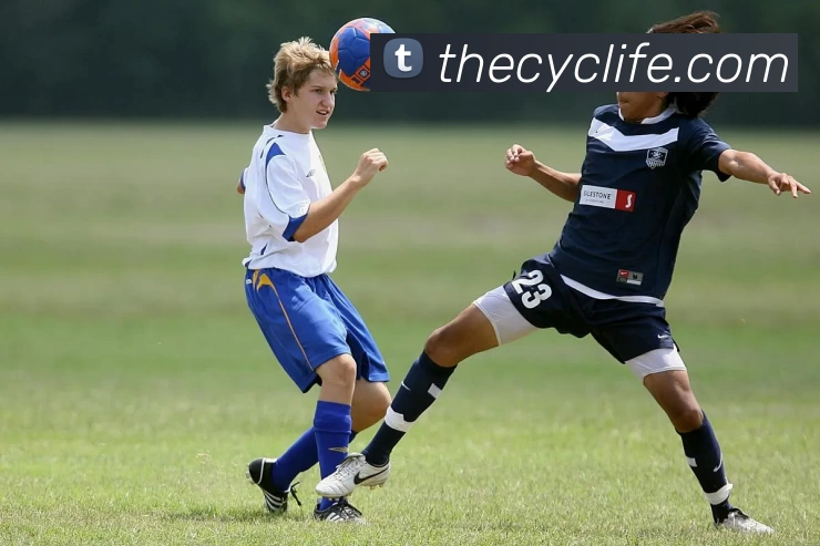 mk体育在线服务体系